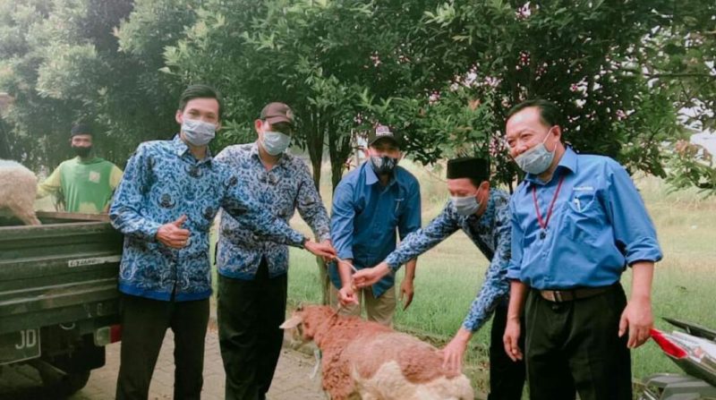 MENYAMBUT HARI RAYA IDUL ADHA(1442 H), PT ARTA BUANA SAKTI MEMBERIKAN SATU EKOR SAPI KURBAN KE DESA SUKAMANTRI.