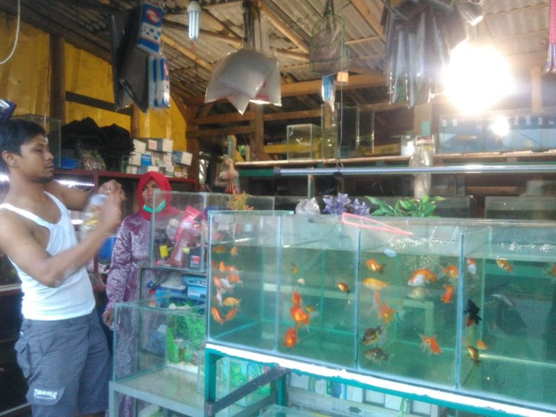 Pengusaha ikan Iyas di Sepatan, Miris mendapat keuntangan.