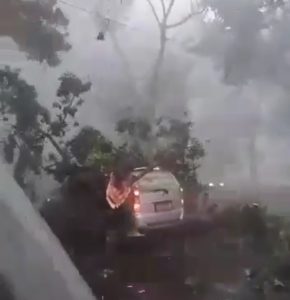 Pohon tumbang menimpa pengendara mobil yang sedang melintas di jalan TMP taruna