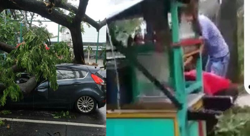 Angin Kencang dan di sertakan hujan lebat, 3 mobil para tamu pengujung PN Kota Tangerang di timpah pohon