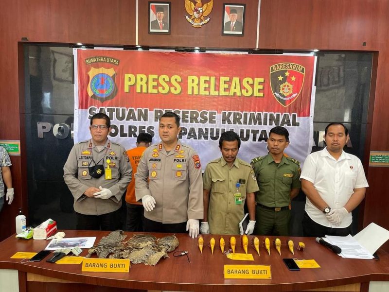 Penangkapan kedua pelaku ini berhasil dilakukan, atas kerjasama antara Polda Sumut.