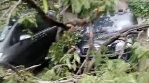 HUJAN BESAR  DAN ANGIN MENUMBANGKAN BEBERAPA POHON DAN MENGHANTAM 3 MOBIL HINGGA RINGSET