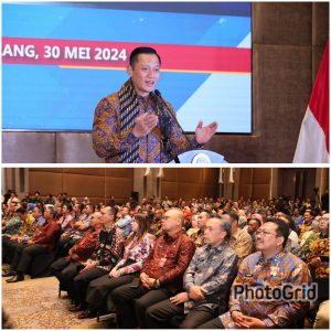 As well as facilitating digital transformation or the implementation of electronic systems in the context.