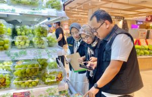 DPKP Kabupaten Tangerang Uji Sampel Anggur Shine Muscat di Ritel AEON Store Citra Raya.