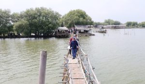 Masak tanah pinggir bibir pantai bisa masuk 31,5 KM, itu sudah masuk pada kejahatan negara?.