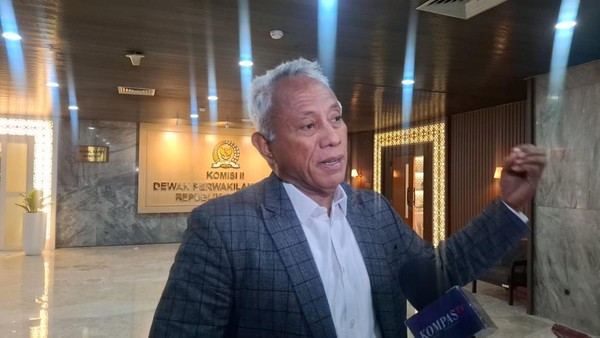 Anggota DPRD RI dari Fraksi PDIP bahwa keputusan MK sudah sesuai.